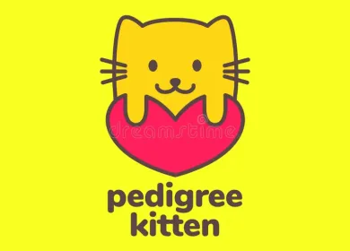 kitten-pets-care-lover-heart-colorful-modern-mascot-cartoon-cute-logo-vector-icon-illustration-kitten-pets-care-lover-heart-336883674